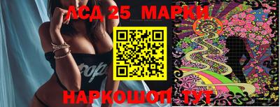 гидропоника Славгород