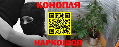 гидропоника Славгород