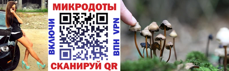 Галлюциногенные грибы Psilocybine cubensis  закладка  Россошь 