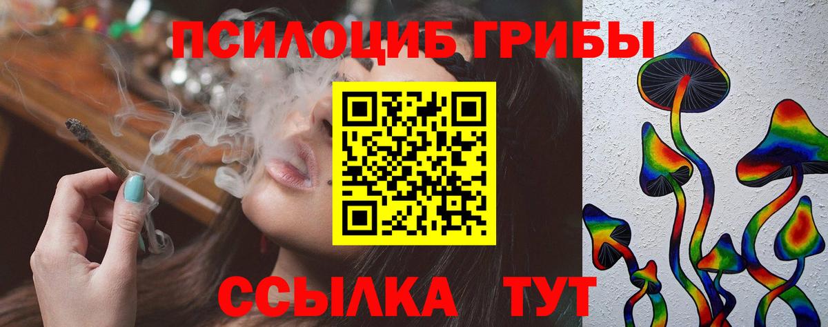 Псилоцибиновые грибы Psilocybine cubensis  Вход с VPN  Россошь 